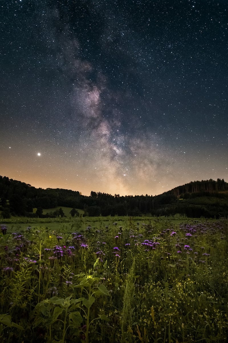 Galaxy Frosting Image